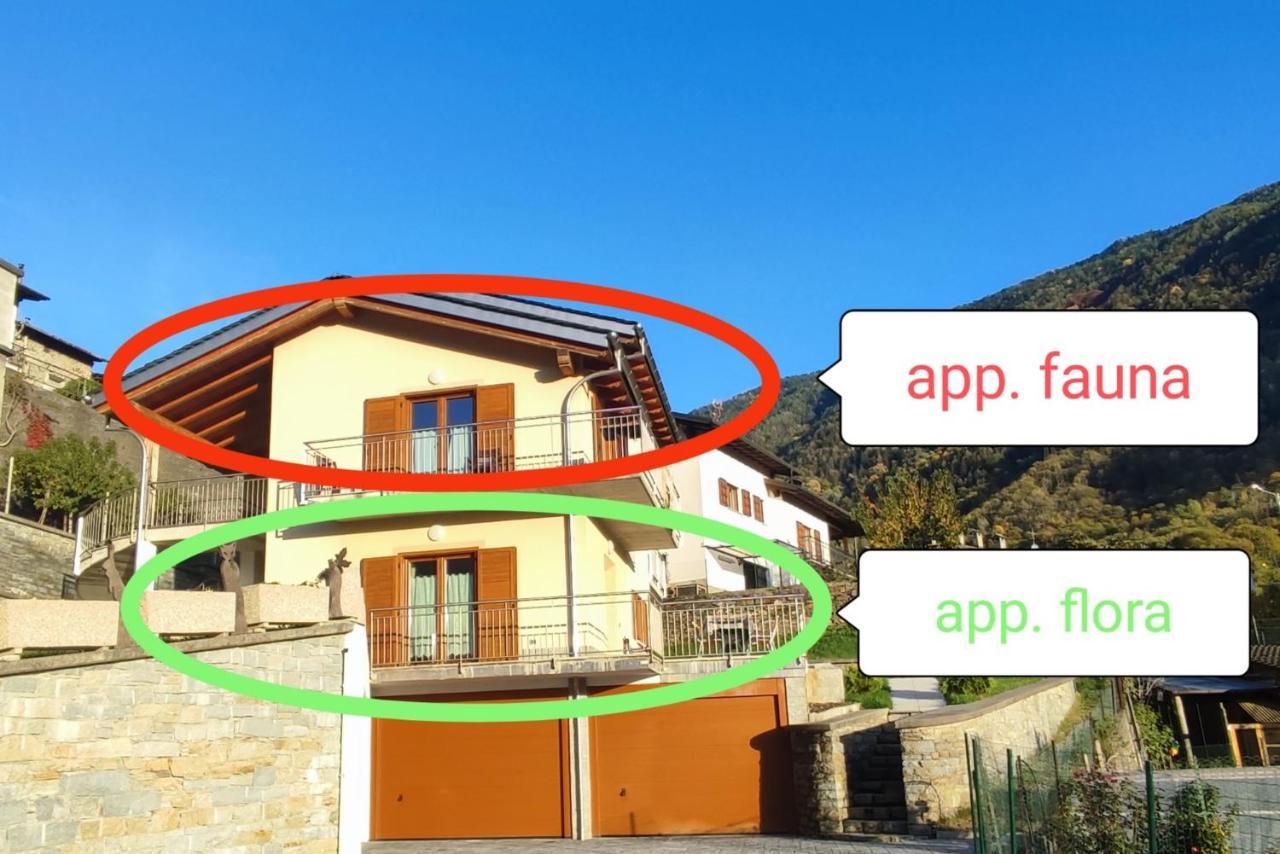 Ferienwohnung Pisolo Selvaggio Tirano Exterior foto